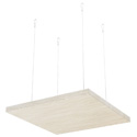 Ivory Ash Cloud