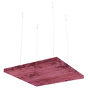 Peeled Beet Cloud