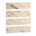 Sawn European Ash Ceiling