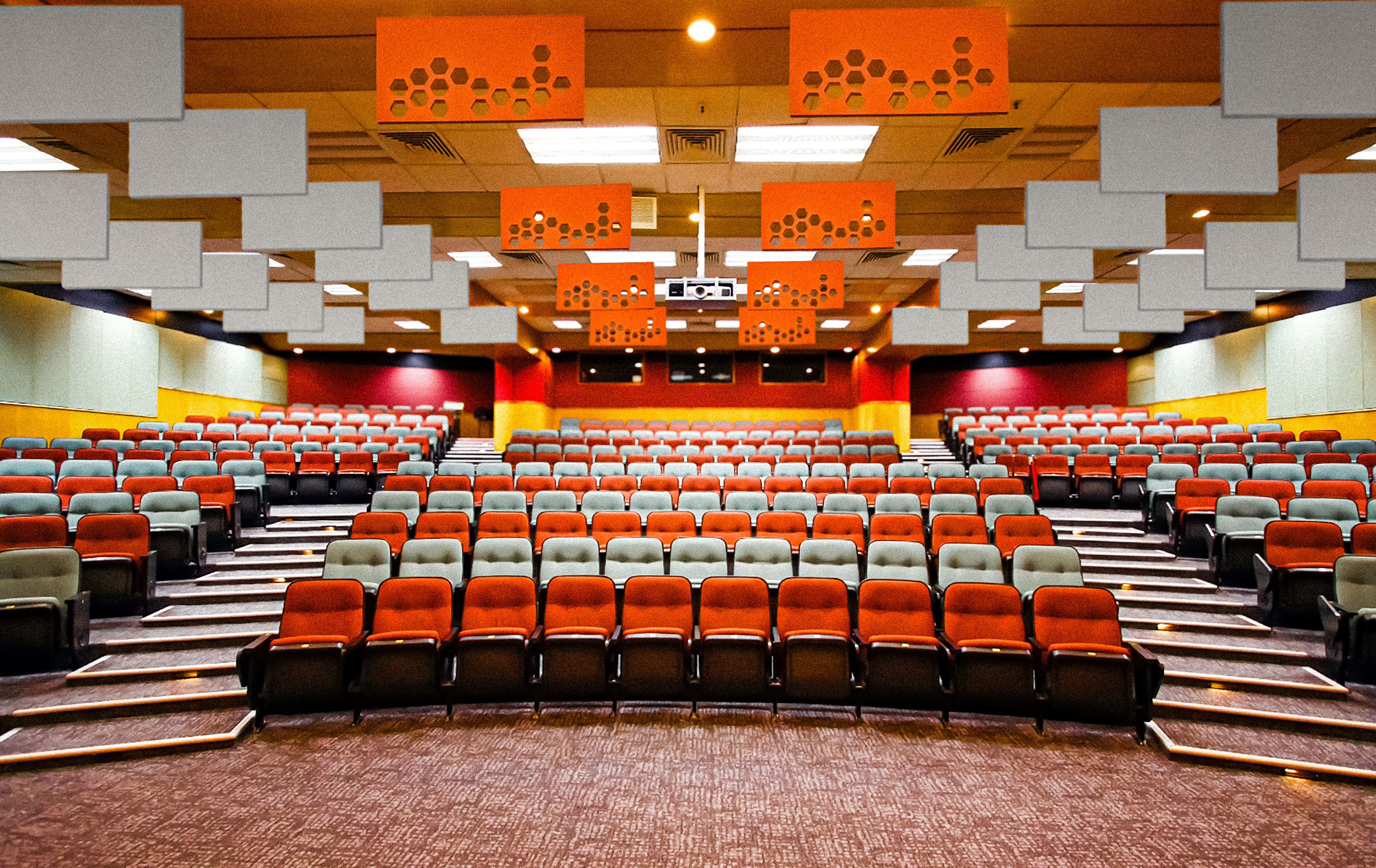 Acoustic Baffles in a lecture hall.